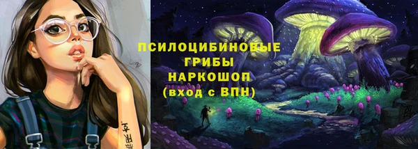 ГАЛЛЮЦИНОГЕННЫЕ ГРИБЫ Беломорск