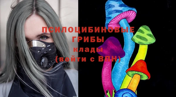 ГАЛЛЮЦИНОГЕННЫЕ ГРИБЫ Беломорск