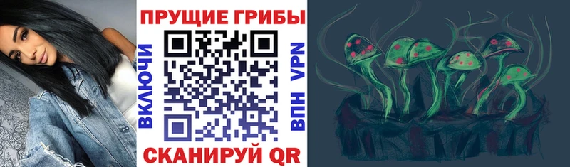 Псилоцибиновые грибы MAGIC MUSHROOMS  МЕГА онион  Болохово 